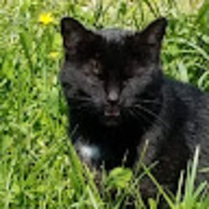 Meet your Posher, Joann